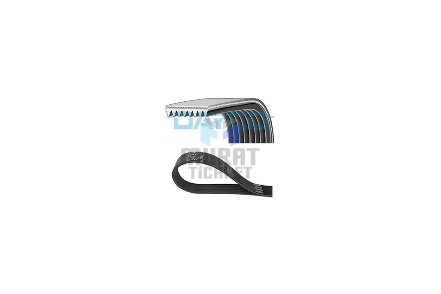 DAYCO 8PK2285HD-KAYIŞ SCANİA